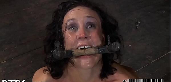  Beauty gets her teats licked previous to painful clamping